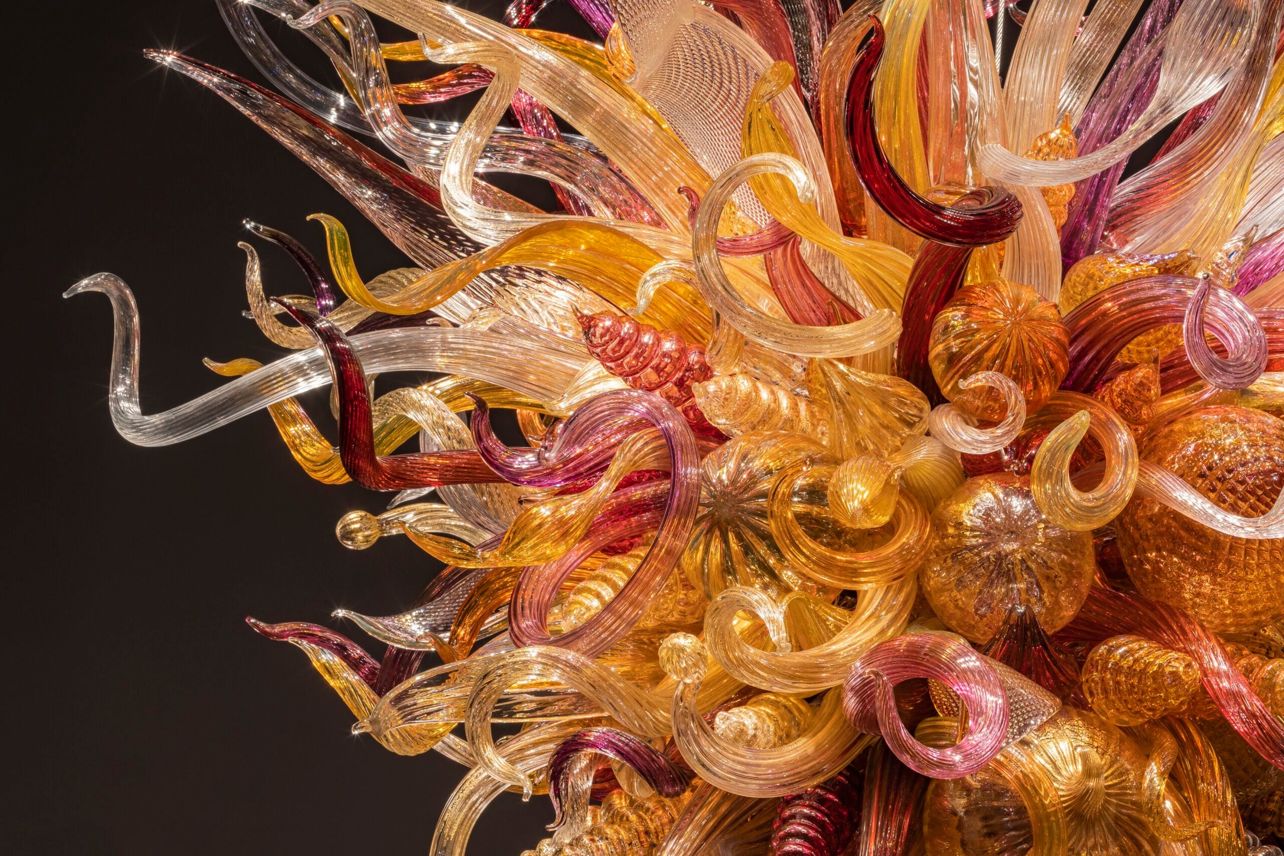 Biltmore Winery Chihuly Chandelier Biltmore