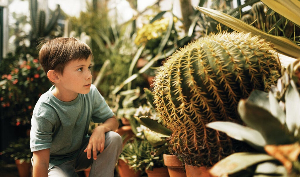 Take A Tropical Escape In Our Conservatory