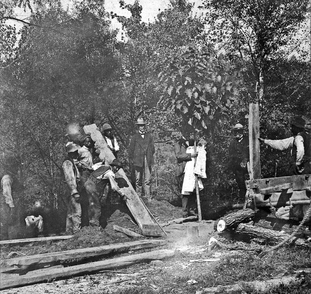 Preserving the Legacy of Cornelia Vanderbilt’s “Baby Tree”