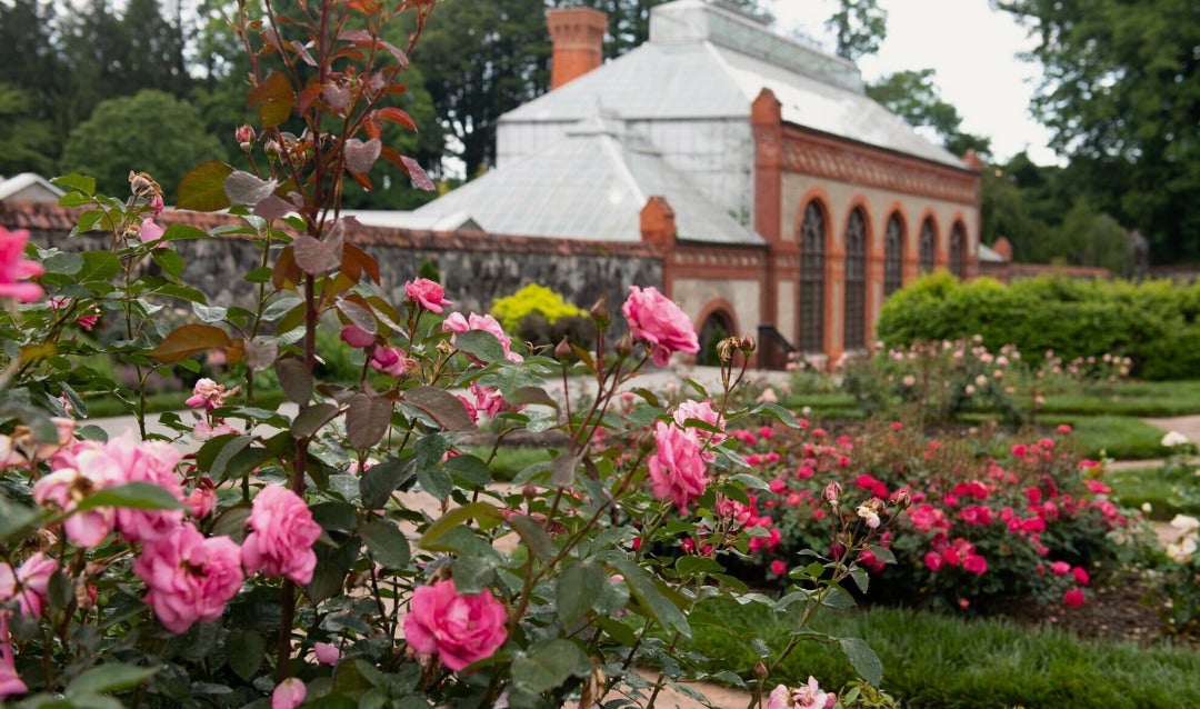 Rose Garden at Biltmore Estate