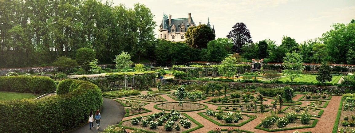 Aerial image of Biltmore Rose Garden with Biltmore House in distance
