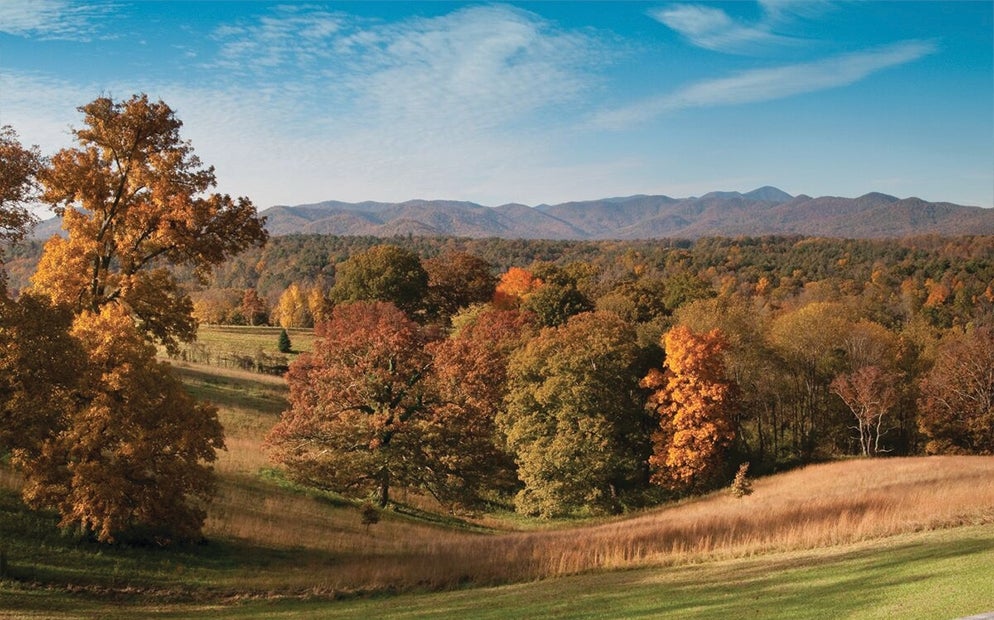 Deer Park’s oak trees and grasses and the mountains behind them contrast beautifully with a crystal-blue autumn sky.