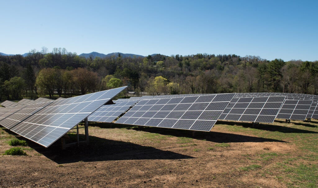 Our solar panels occupy several acres of the estate and support up to 20% of the estate’s energy needs.