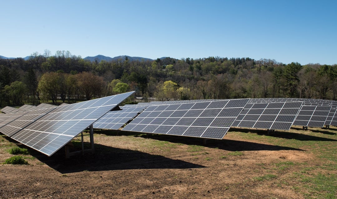 Our solar panels occupy several acres of the estate and support up to 20% of the estate’s energy needs.