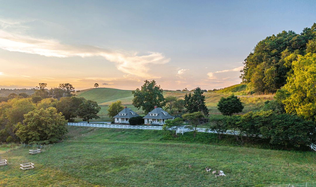 Two farm-style cottages with cows in a pasture