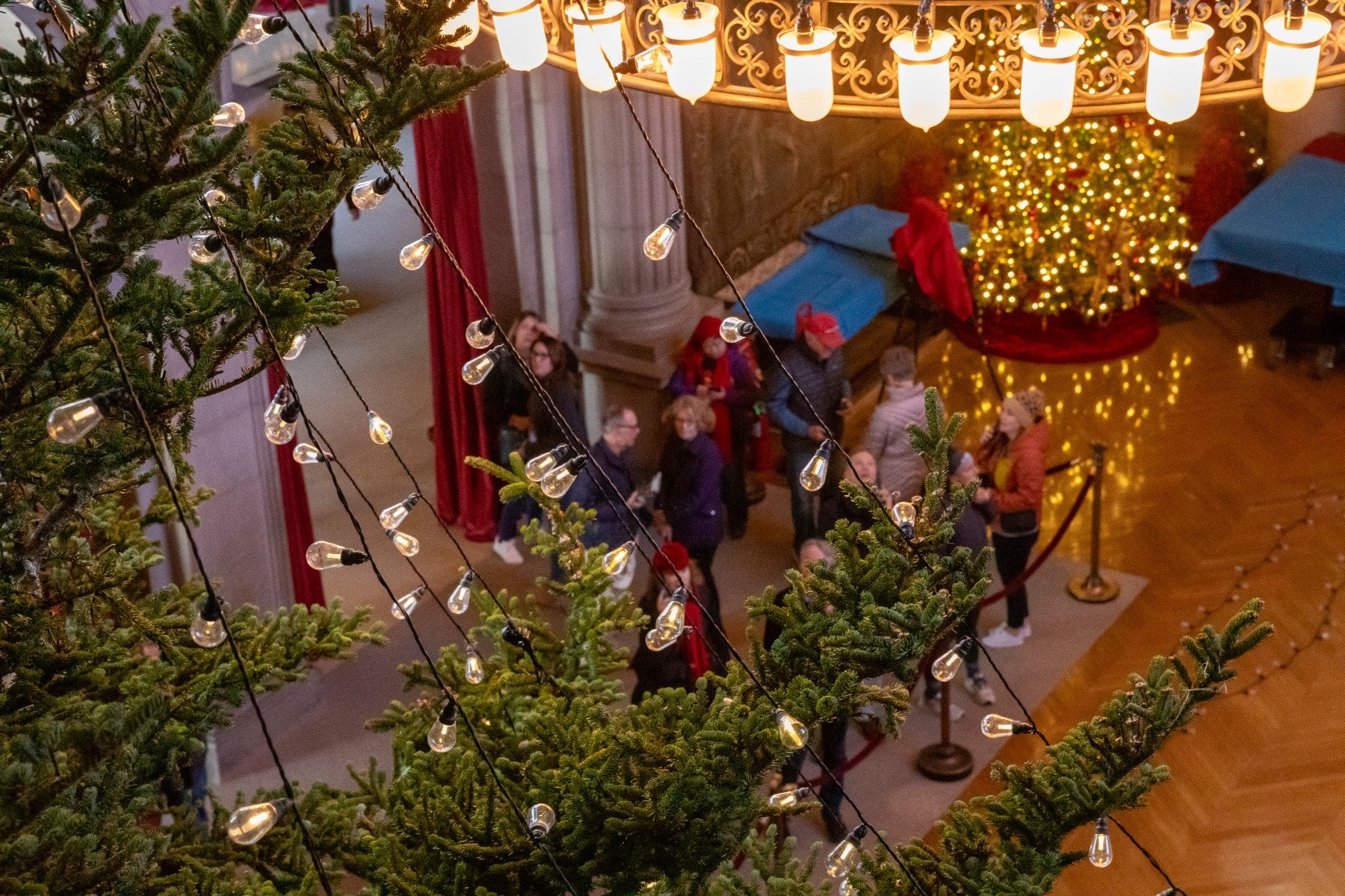 Strings of lights are added to the 35′ Fraser fir tree in the Banquet Hall.