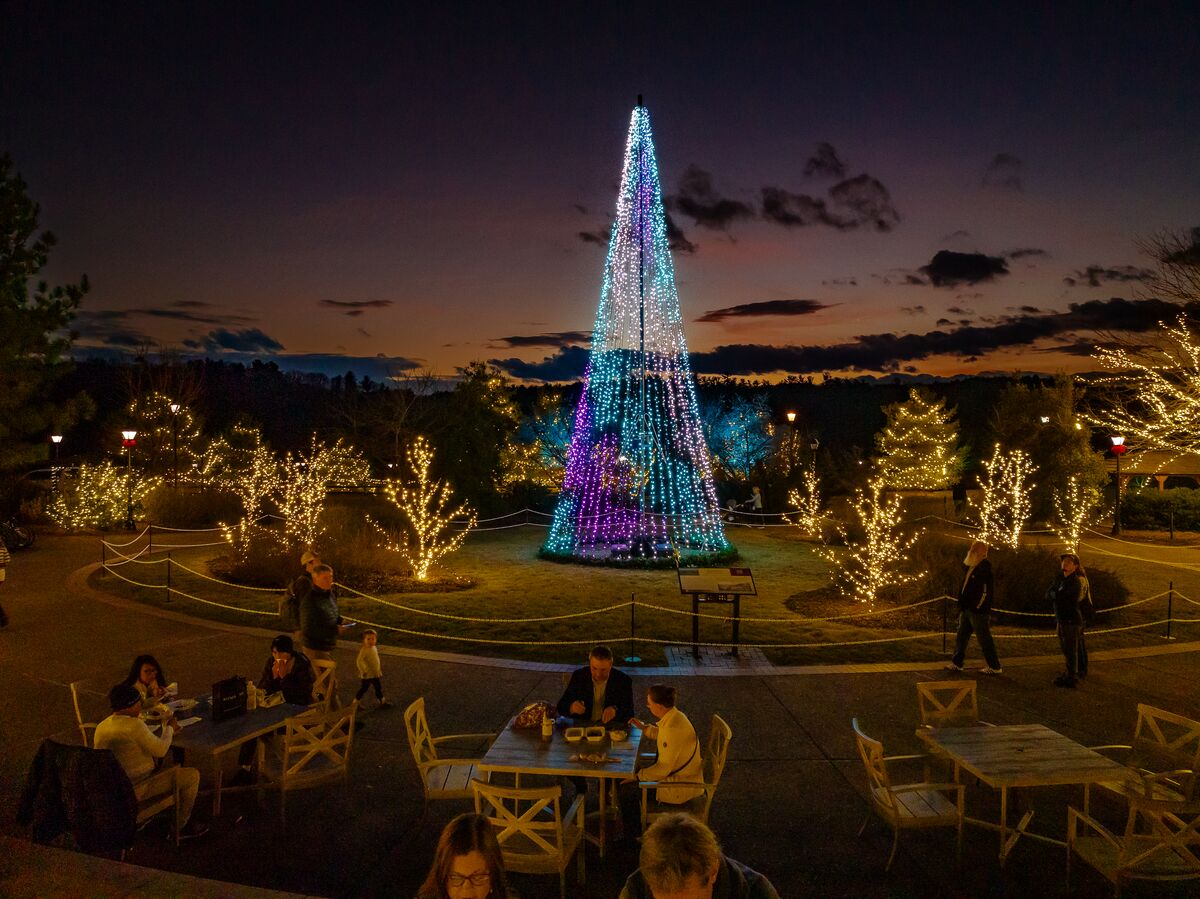 Antler Hill Village illuminates after dusk with the festive glow of thousands of twinkling LED lights.