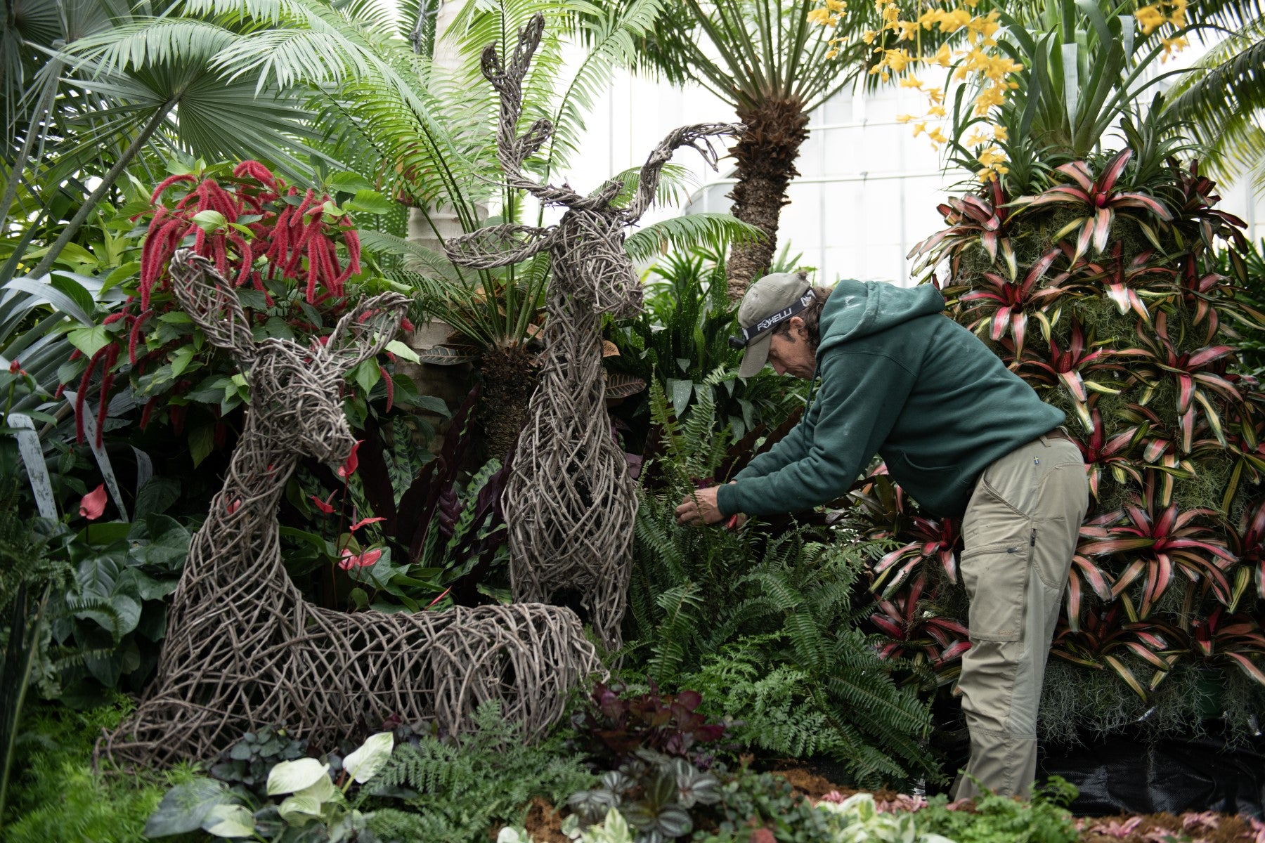 Todd Roy puts the finishing touches on 2023 Conservatory decor.