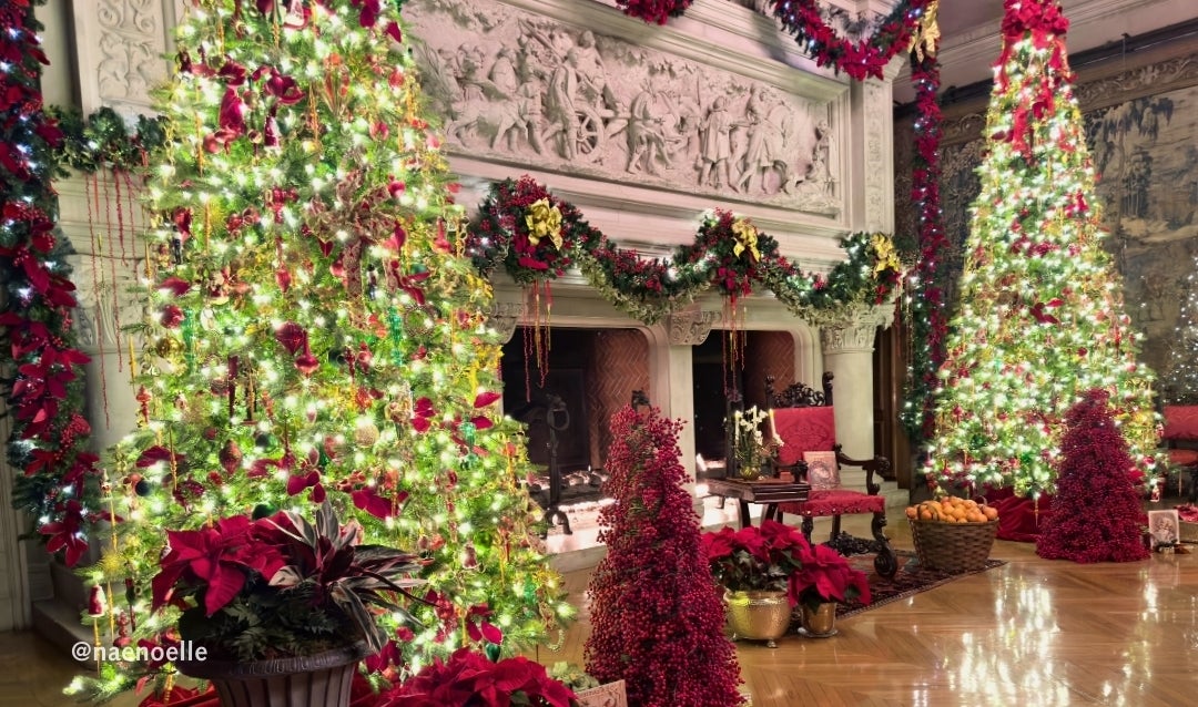 Fireplace aglow in the Banquet Hall of Biltmore House