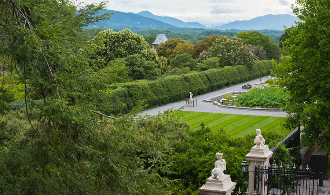 View of the Italian Garden hemlock hedge and mountains at Biltmore