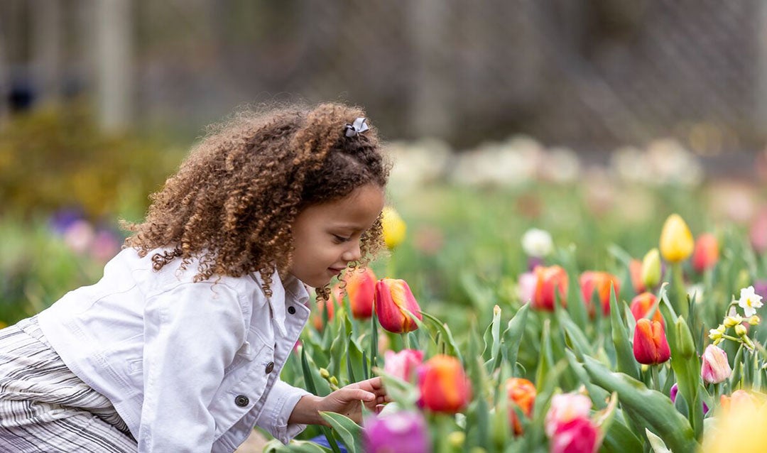 Young girl sniffing tulips in Biltmore gardens