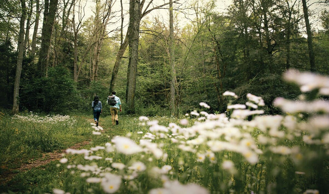 Couple hiking on Biltmore Grounds.