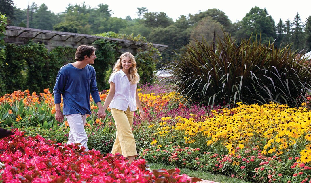 Couple walking in the tulips