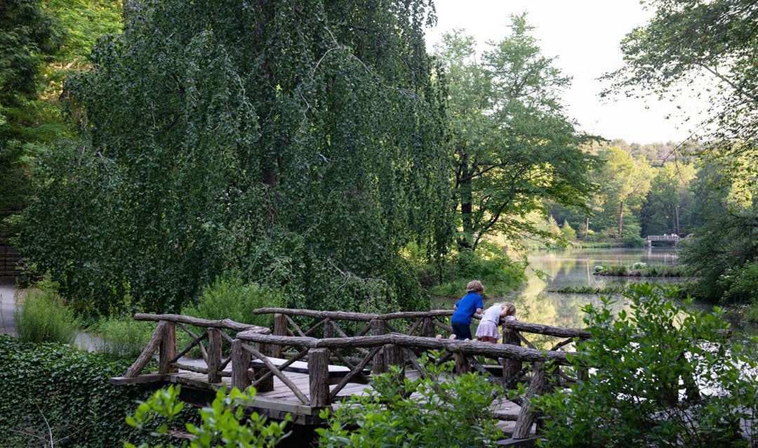 Bass Pond Bridge with children looking over the railing.
