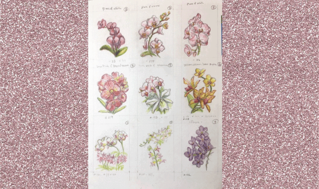 Series of nine colored pencil sketches of orchids.
