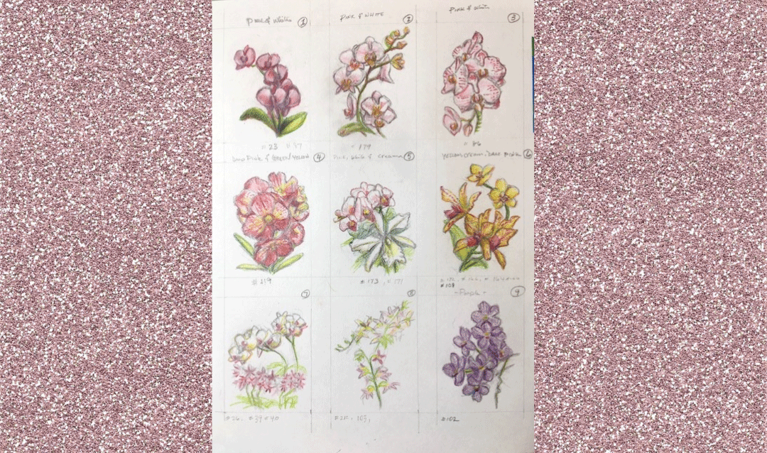 Series of nine colored pencil sketches of orchids.