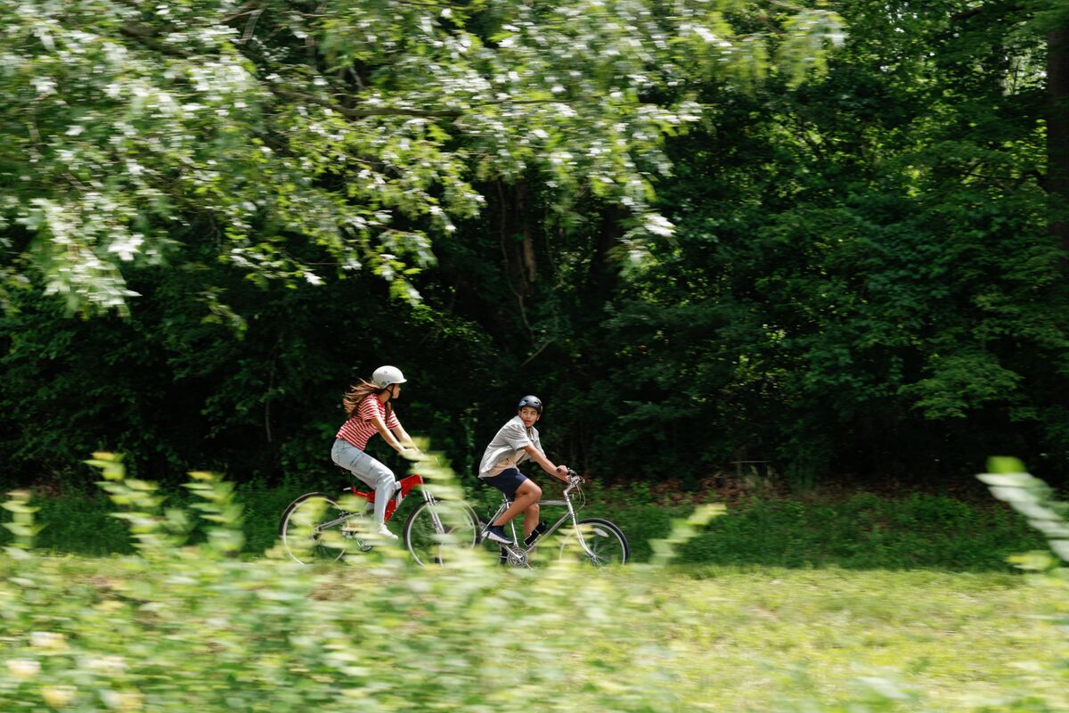 Family riding bikes on Biltmore Estate
