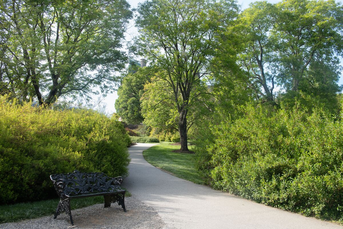 Shrub Garden, spring 2023