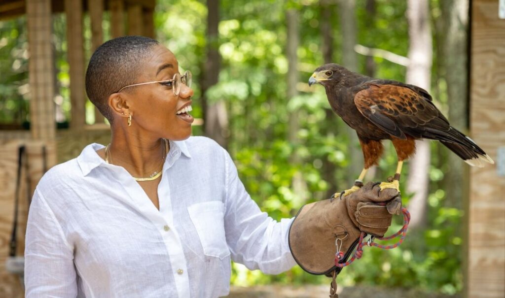 Woman holds a falcon at Biltmore Estate.