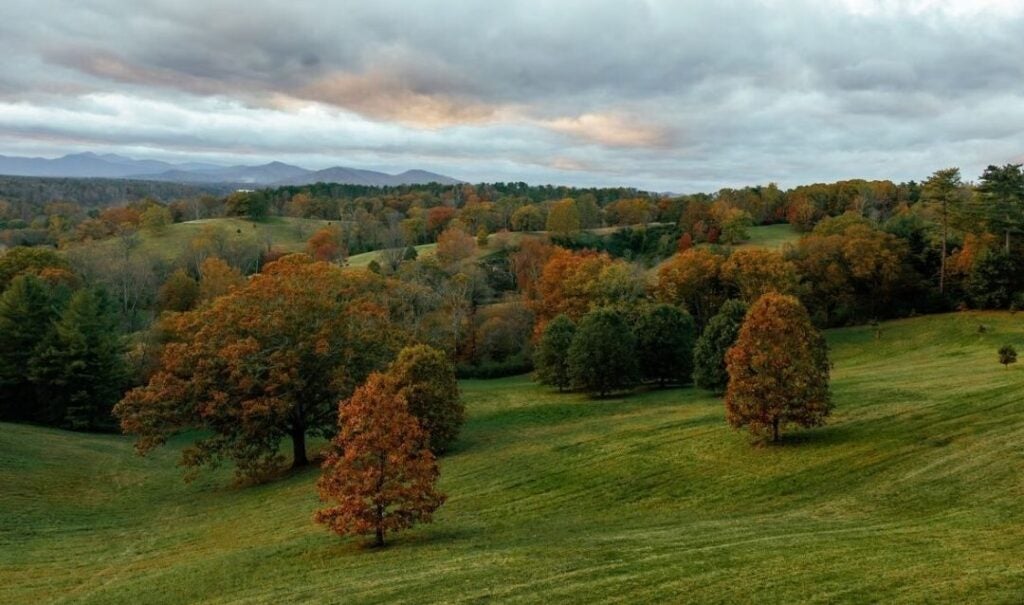 View from the South Terrace of Biltmore House