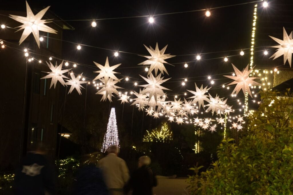Luminous stars hang overhead in Antler Hill Village.