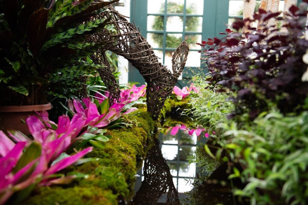 Seasonal plantings and decor inside the Conservatory.