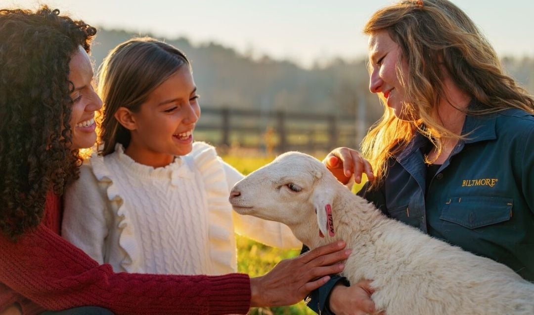 Mother and daughter pet a lamb held by a staff member in the Farmyard at Biltmore Estate.