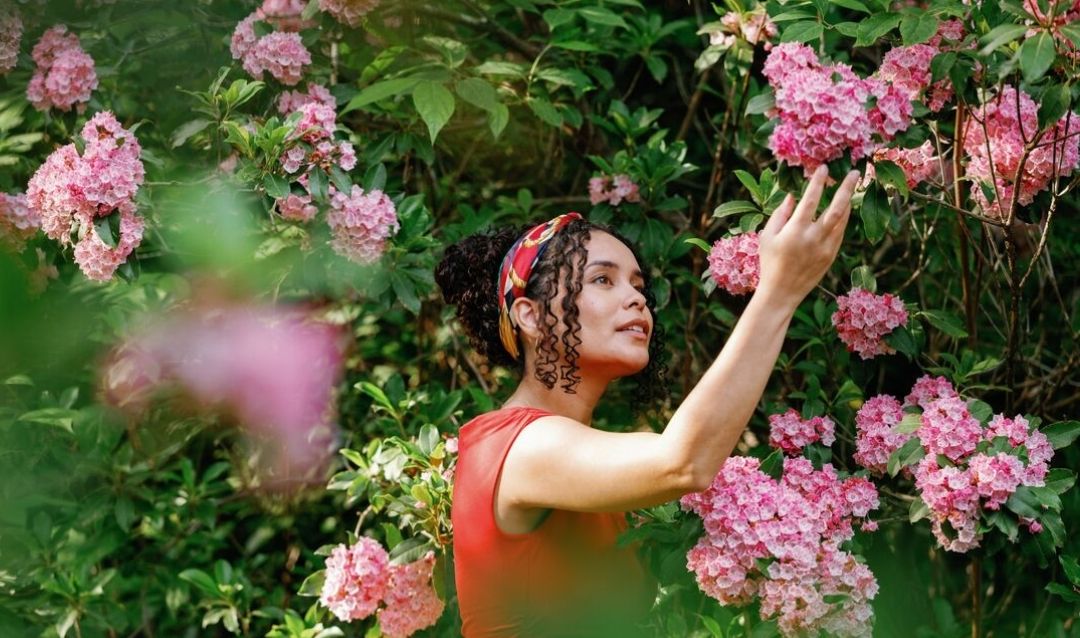 Woman touches mountain laurel blooms at Biltmore.