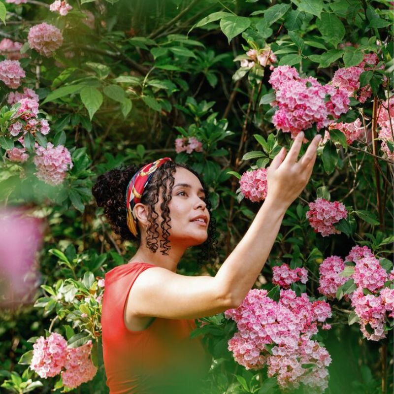 Spring at Biltmore: A delight for the senses