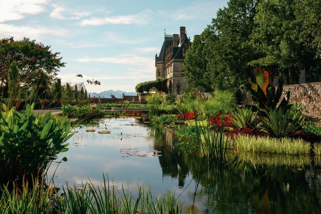 Visit itinerary: Your guide to Biltmore