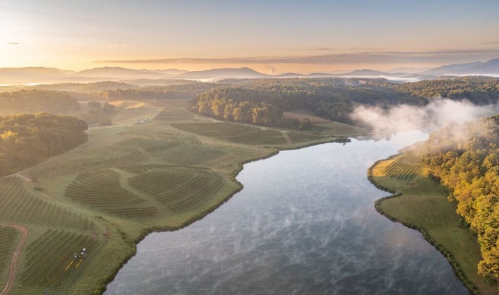 Biltmore's estate vineyards overlook Long Valley Lake on the west side of the property.