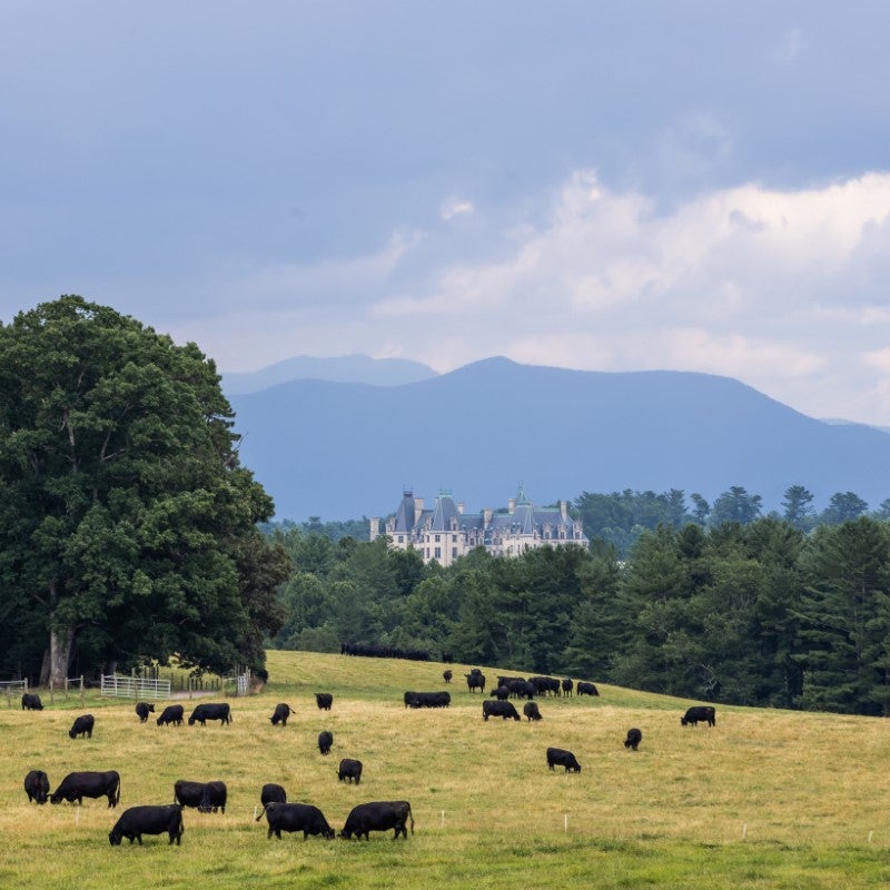 Biltmore’s farm-to-table history has deep roots