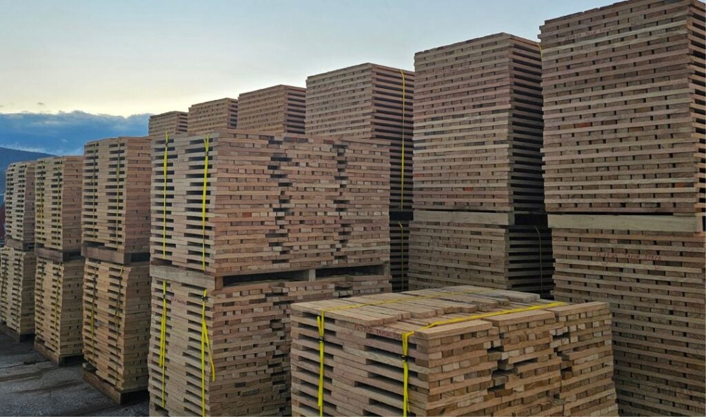 Positive outlook: fallen white oaks turned into barrel staves.