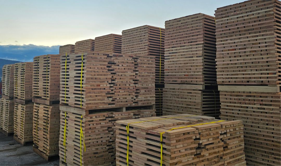 Positive outlook: fallen white oaks turned into barrel staves.