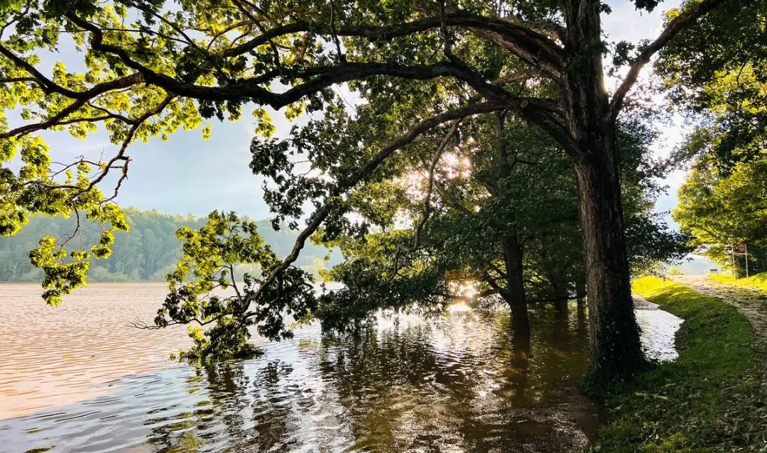 Flooding in Biltmore's fields following Tropical Storm Helene.
