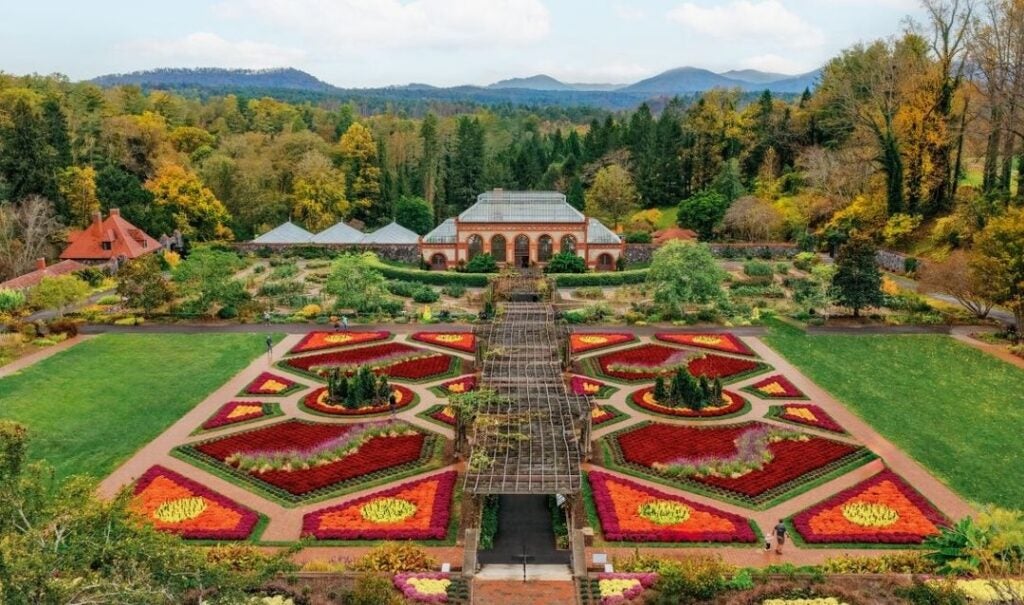 Fall mums in the Walled Garden at Biltmore