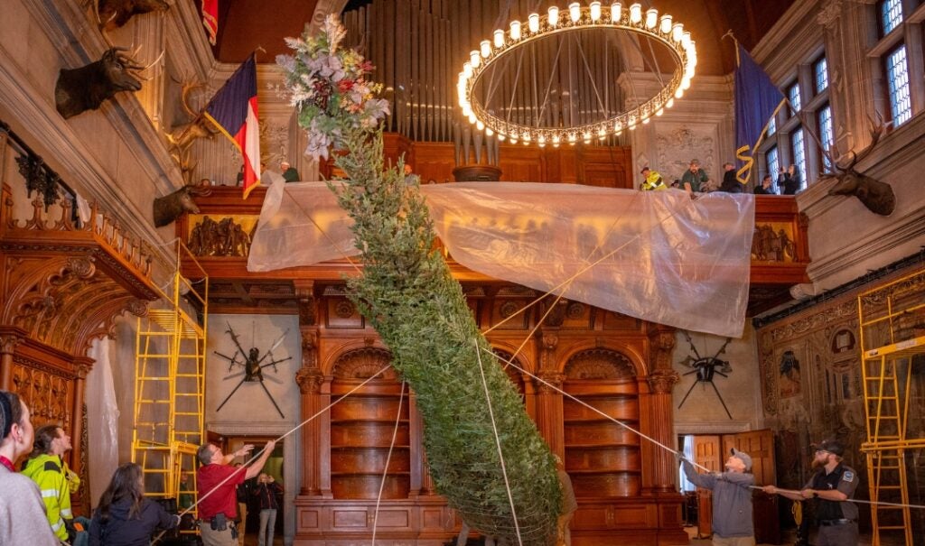 The ultimate piece of Christmas decor is the 35-foot fresh Fraser fir in Biltmore's Banquet Hall.