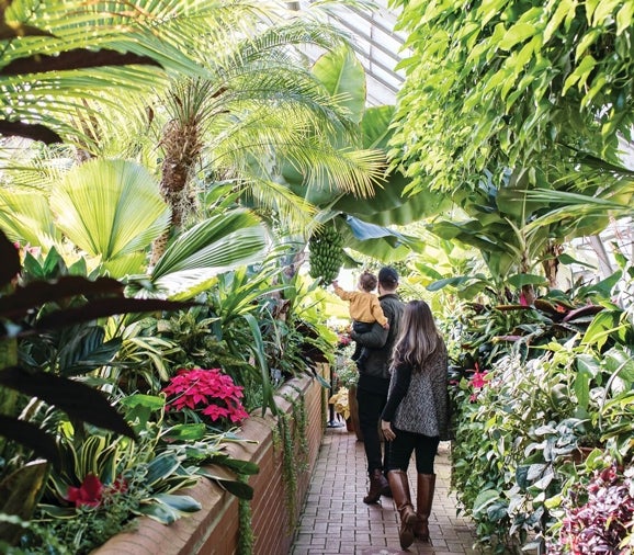 Family with small child walks through lush tropical foliage in Biltmore's glass conservatory