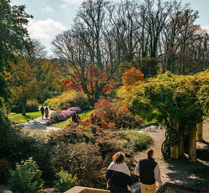 Guests walking the grounds on Biltmore Estate