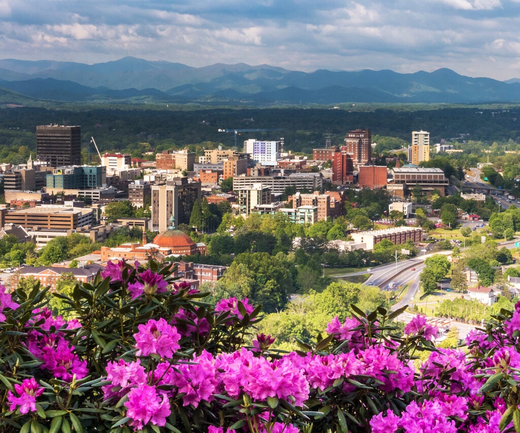 Aerial image of Asheville skyline with rhododendrons
