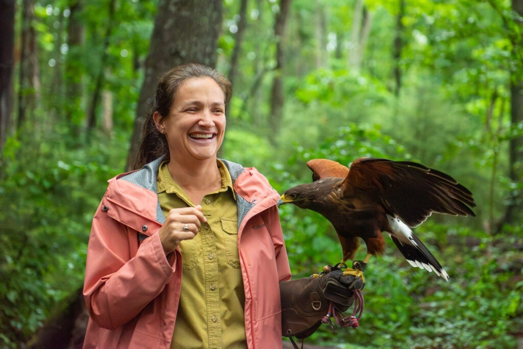 A trainer holds a Harris' hawk during the falconry experience at Biltmore.