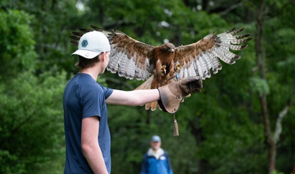 Falconry at Biltmore.