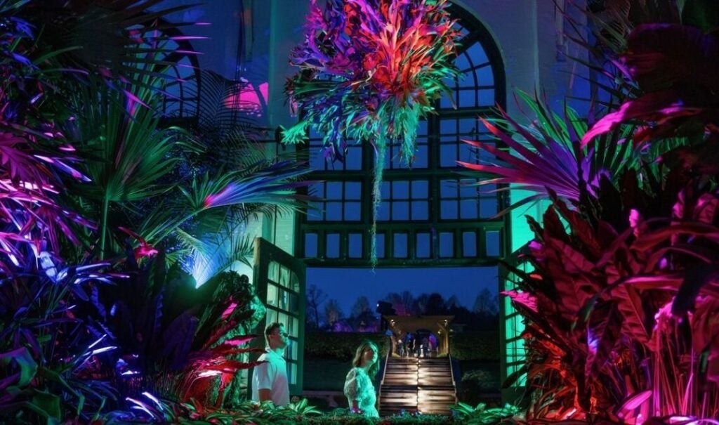 Conservatory illusion during Luminere at Biltmore