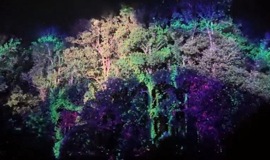 Lights among the trees during Luminere at Biltmore.