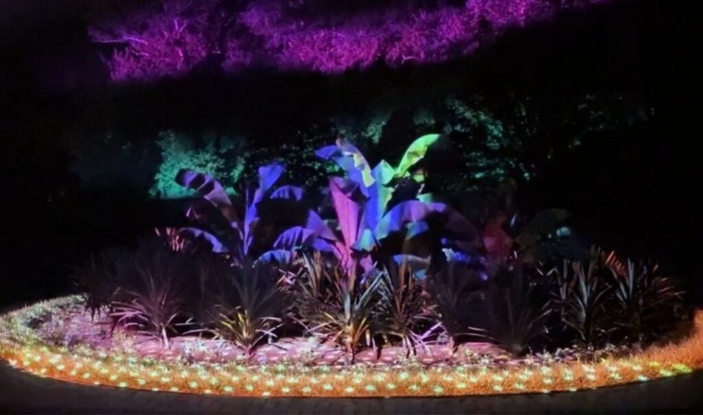 Walled Garden display for Luminere at Biltmore.