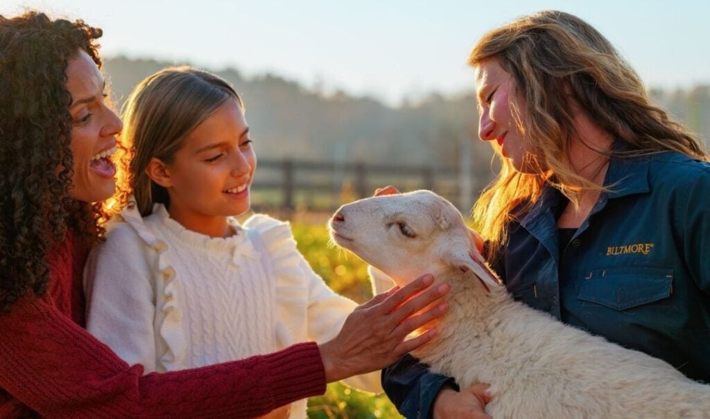 Mother and daughter pet a sheep held by Biltmore staff member at the Farmyard